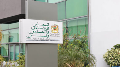 F9F6A7B3 62D0 4234 860A 1BBC8418C05D - Le CESE adopte son avis sur les pertes et gaspillage alimentaires au Maroc