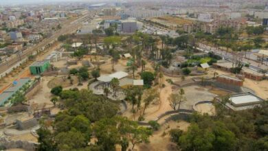 zoo de casablanca - Zoo d’Aïn Sebaâ - Les derniers préparatifs avant l’ouverture