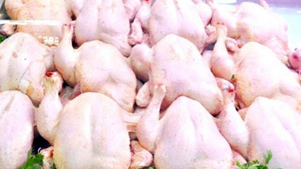 d 314438le prix du poulet en chute libre 398b1 copier - Volaille contaminée: la FISA rassure face aux rumeurs