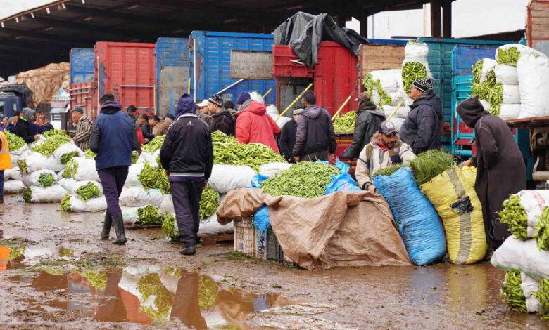 marche de gros des fruits et legumes01275 1676463249 - Produits de consommation : vers un encadrement strict du métier de courtier?