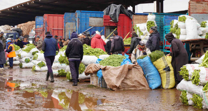 marche de gros des fruits et legumes01275 1676463249 - Produits de consommation : vers un encadrement strict du métier de courtier?