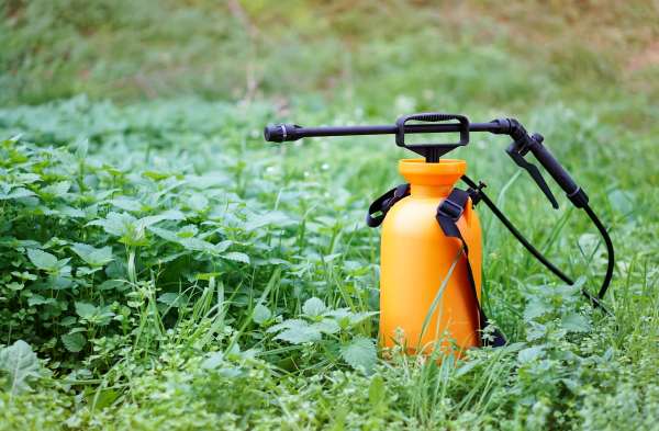 Pesticides - Produits agricoles : les pesticides, une bombe à retardement sanitaire