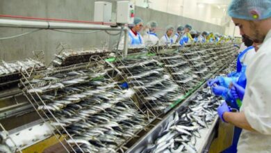 Photo Unicop 2 scaled - Made in Morocco: les professionnels de la conserve de poisson appellent au secours