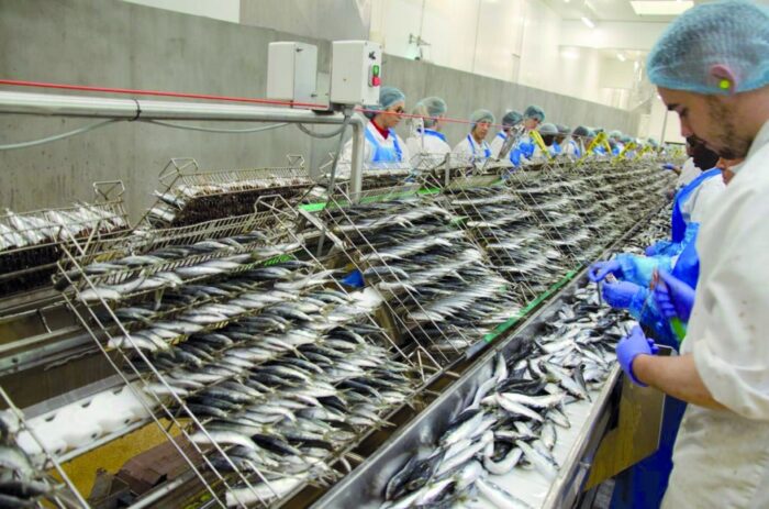 Photo Unicop 2 scaled - Made in Morocco: les professionnels de la conserve de poisson appellent au secours