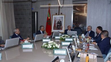 ANCFCC scaled - L’ANCFCC boucle un exercice 2024 record avec un chiffre d’affaires de 9,33 milliards de dirhams