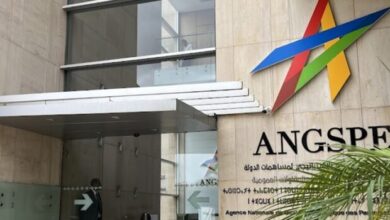 ANGSPE scaled - L’ANGSPE rend public le premier Rapport sur l’Etat actionnaire