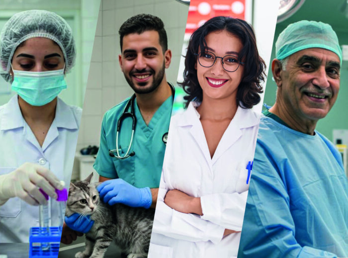 PRO SANTE scaled - AtlantaSanad Assurance lance "PRO+ Métiers de la Santé", une couverture multirisque sur mesure pour les professionnels du secteur médical