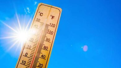 b28905eb77 50165003 rechauffement climatique chaleur mort - Canicule : record de consommation d’électricité au Maroc, la climatisation en cause