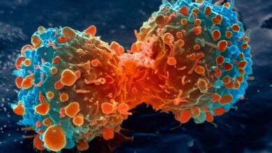 cancer - Cancer : des traitements inaccessibles malgré l’assurance maladie
