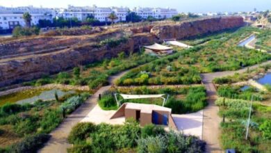 parc archeologique de Sidi Abderrahmane scaled - Casablanca : Le spectacle "Nostalgia" marque l'ouverture au public du parc archéologique de Sidi Abderrahmane