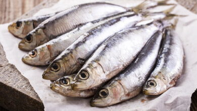 sardines - Agadir : les brochettes de poisson flambent à plus de 1.000 dirhams, les clients dénoncent des abus