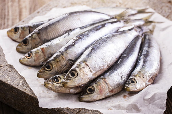 sardines - Agadir : les brochettes de poisson flambent à plus de 1.000 dirhams, les clients dénoncent des abus