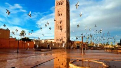 ttourisme maroc 768x537 696x487 1 - Tourisme interne : la moitié des voyageurs Marocains choisissent le pays