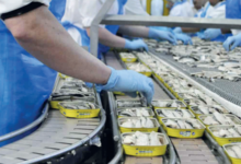 conserves sardine - Sardines en conserve : le Maroc leader mondial incontesté