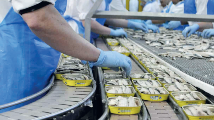 conserves sardine - Sardines en conserve : le Maroc leader mondial incontesté