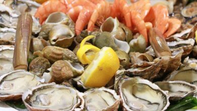 coquillages 7 octobre 2016