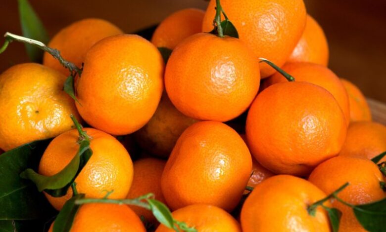 mandarines clementines maroc - Risques de nitrates : les mandarines marocaines parmi les plus sûres selon une étude russe