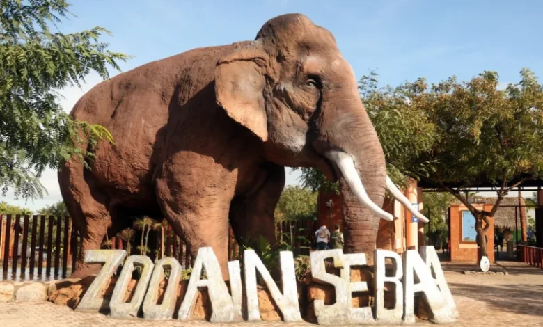 parc zoologique dAin Sebaa 220x150 - Casablanca : Le parc zoologique d’Aïn Sebaâ rouvre ses portes après un vaste réaménagement