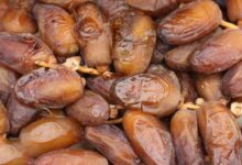 dattes algeriennes maroc boycott - Ramadan 2026 : la production nationale de dattes peut-elle réellement contenir la pression sur les prix ?