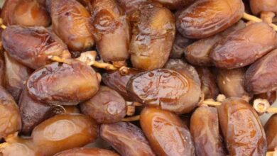 dattes algeriennes maroc boycott - Ramadan 2026 : la production nationale de dattes peut-elle réellement contenir la pression sur les prix ?