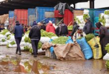 Consonews - Premier site consommation au Maroc