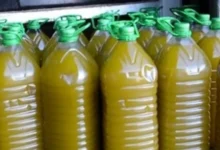 maroc huile olive fraude - Huile d’olive non conforme : 58 affaires devant la justice après les contrôles sanitaires