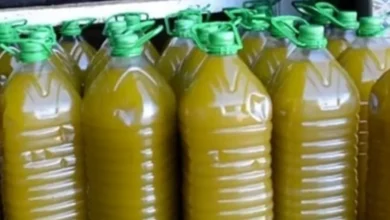 maroc huile olive fraude - Huile d’olive non conforme : 58 affaires devant la justice après les contrôles sanitaires