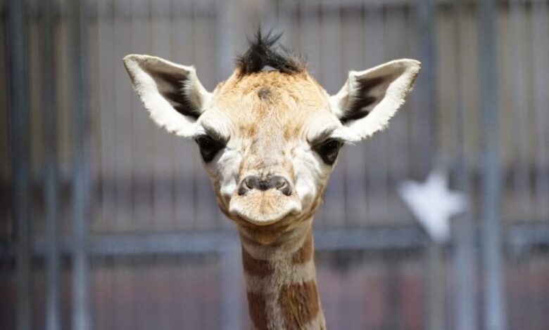 Consonews - Premier site consommation au Maroc