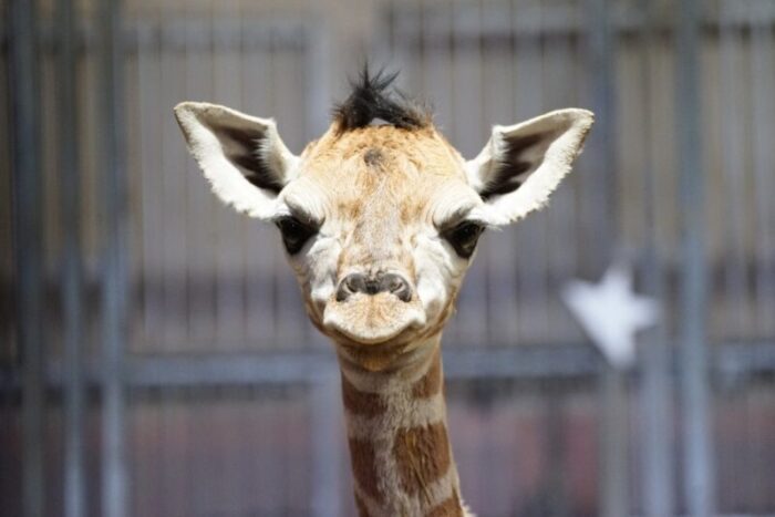 Consonews - Premier site consommation au Maroc