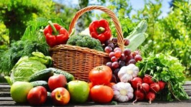 Consonews - Premier site consommation au Maroc