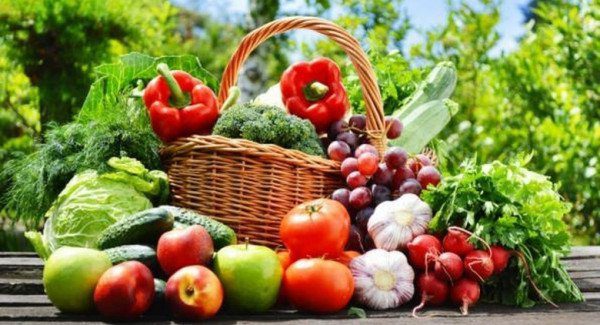 Consonews - Premier site consommation au Maroc