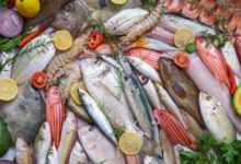 Consonews - Premier site consommation au Maroc