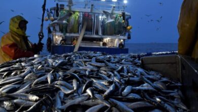 Consonews - Premier site consommation au Maroc