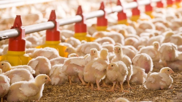 Consonews - Premier site consommation au Maroc