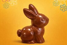 Consonews - Premier site consommation au Maroc