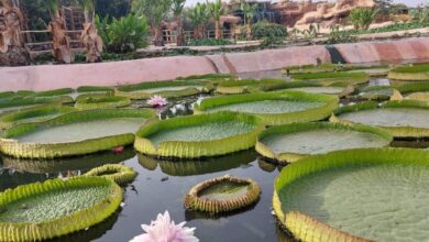 Consonews - Premier site consommation au Maroc