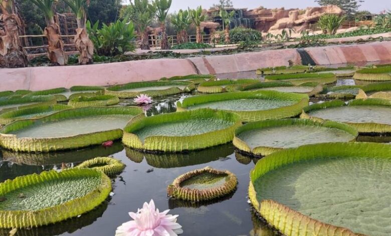 Consonews - Premier site consommation au Maroc