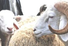 Consonews - Premier site consommation au Maroc