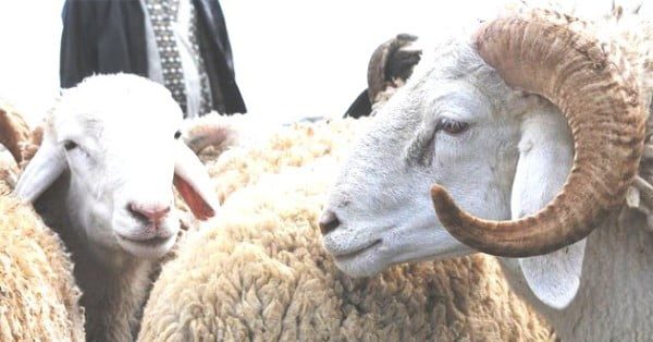 Consonews - Premier site consommation au Maroc