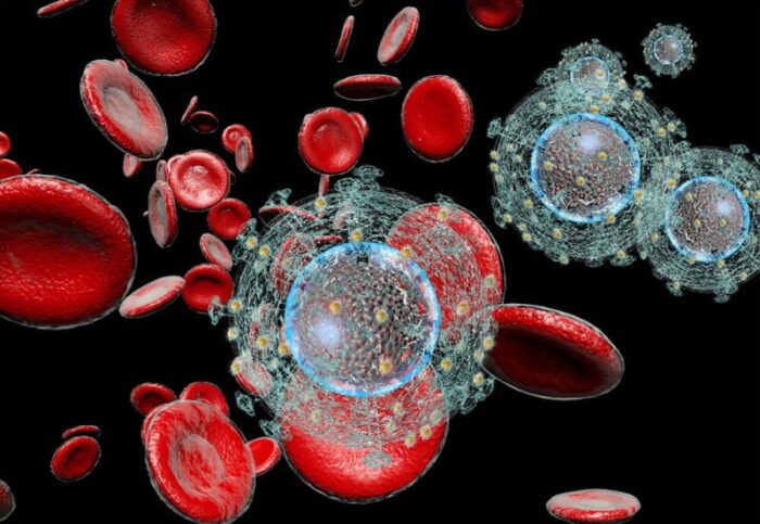 Consonews - Premier site consommation au Maroc